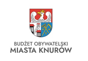 grafika Budżet Obywatelski